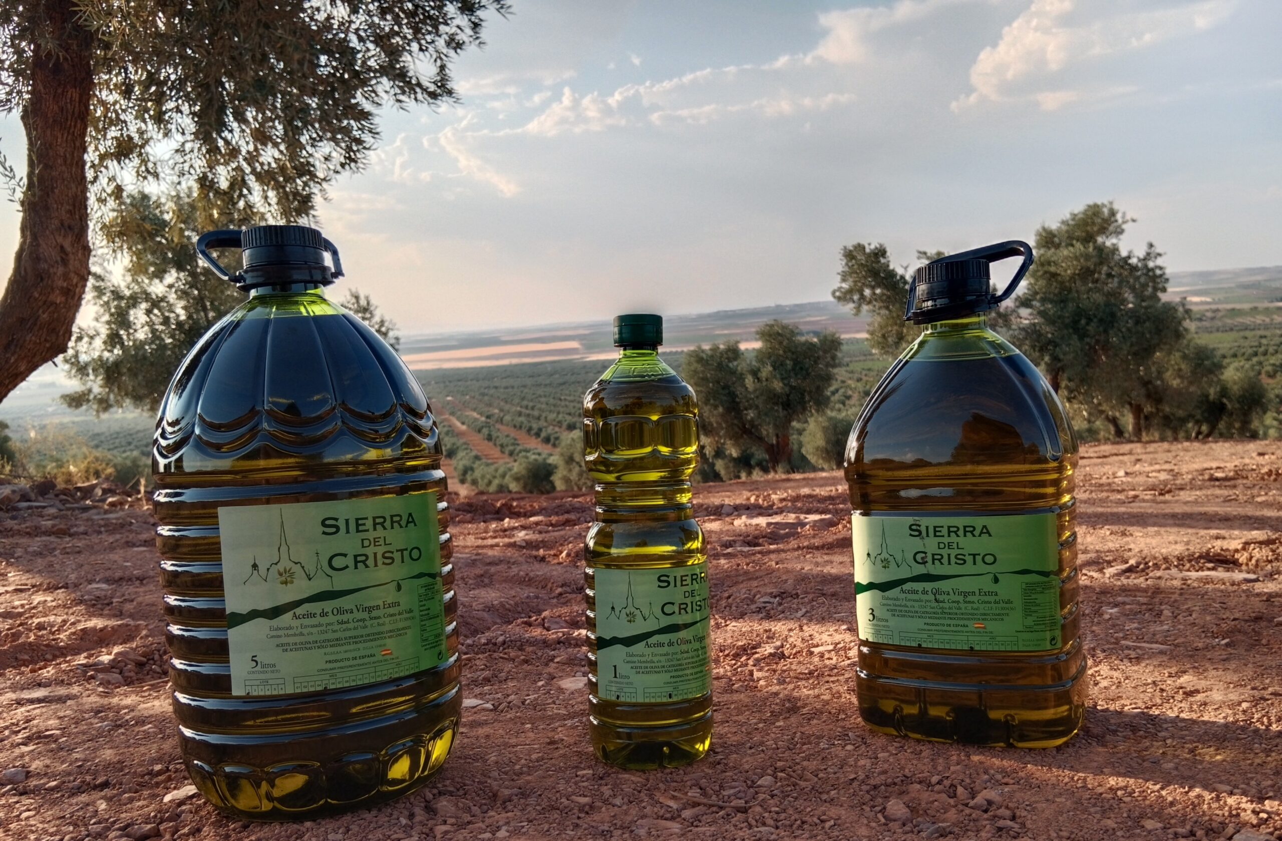 Diferentes tipos de envases para aceite de oliva
